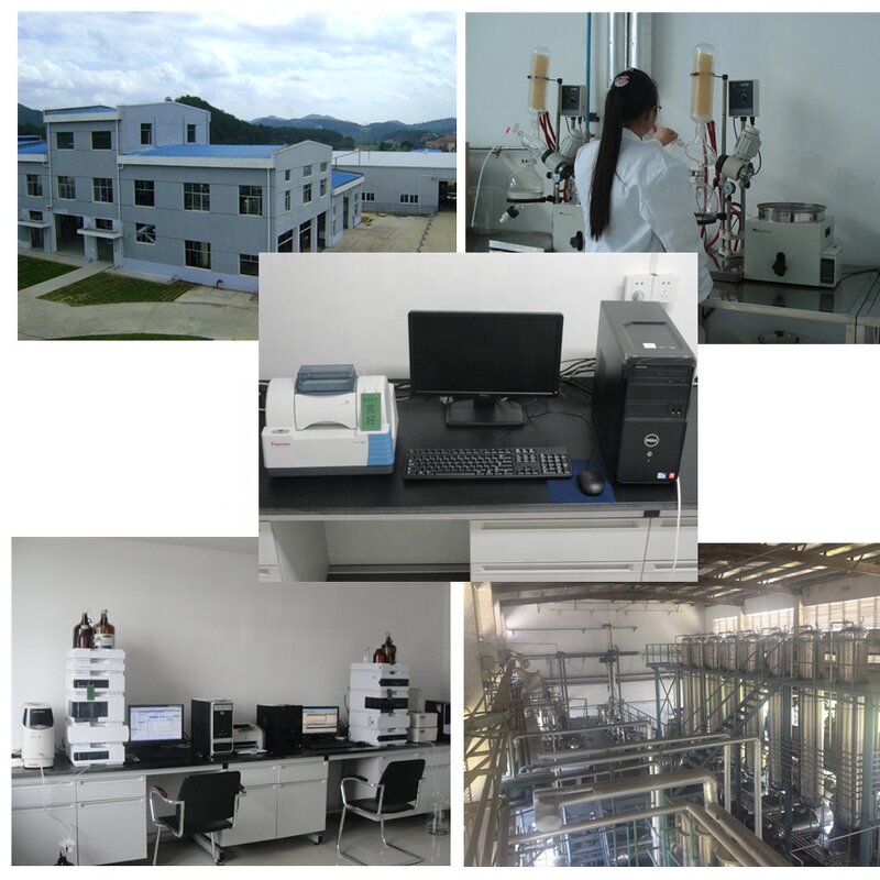 Ion Exchange Resin - China Supplier Water Treatment Free Sample