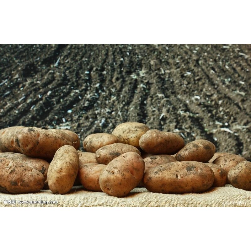 EDDHA Fe 6% Fertilizer - Factory Price Stable pH 4-10 Iron Micronutrient