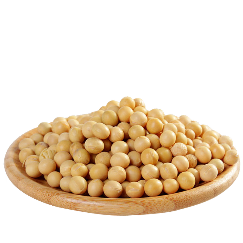 Paclobutrazol PP333 PBZ - 95% TC Plant Growth Regulator for Agriculture