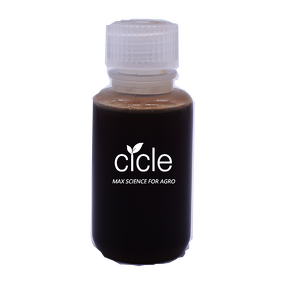 Tea Saponin Liquid - 35% Plant Extract CAS 67-71-0 Turfgrass Fertilizer