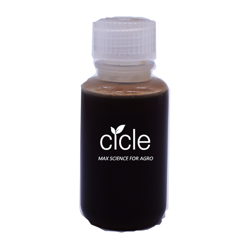 Tea Saponin Liquid - 35% Plant Extract CAS 67-71-0 Turfgrass Fertilizer