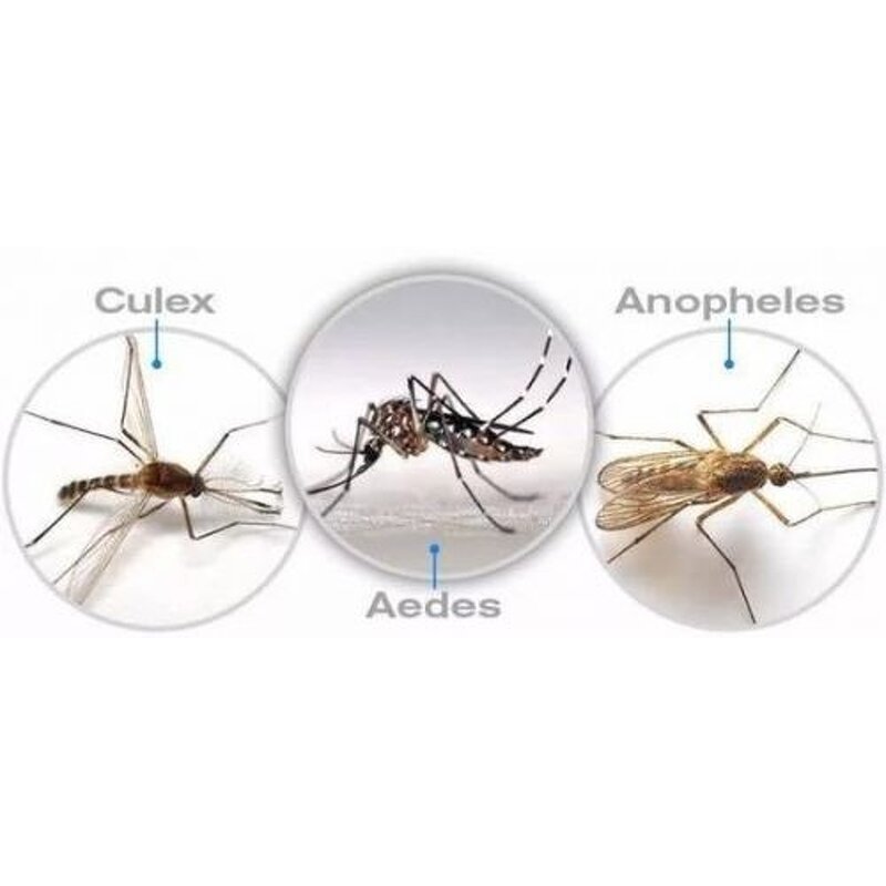 Bacillus Subtilis - Biofungicide 1000x108/g CFU Organic Farming Grade