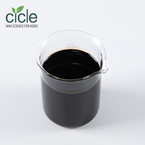 Lentinan Bio Fungicide - Tomato Virus Disease Resistance Inducer Fungous Proteoglycan