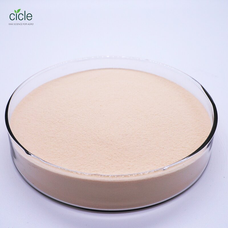Compound Amino Acid Powder - 80% Plant Source Stable Organic Fertilizer