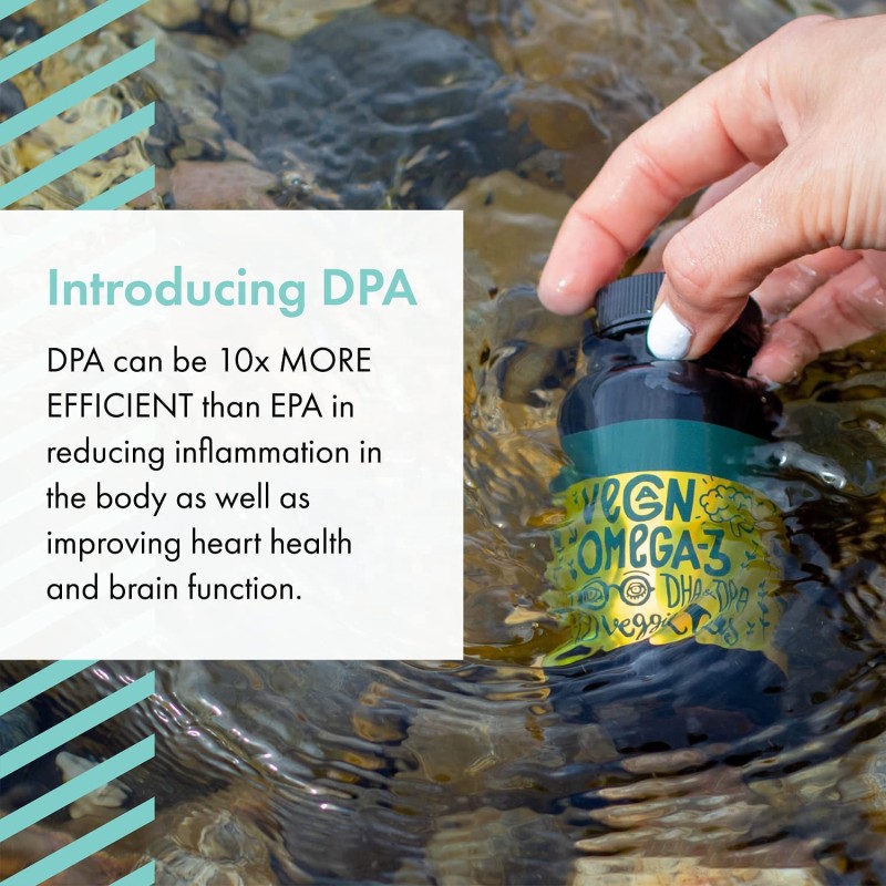 Vegan Omega 3 Supplement Manufacturer - Premium Algae Oil DHA for Heart Brain Joint Health