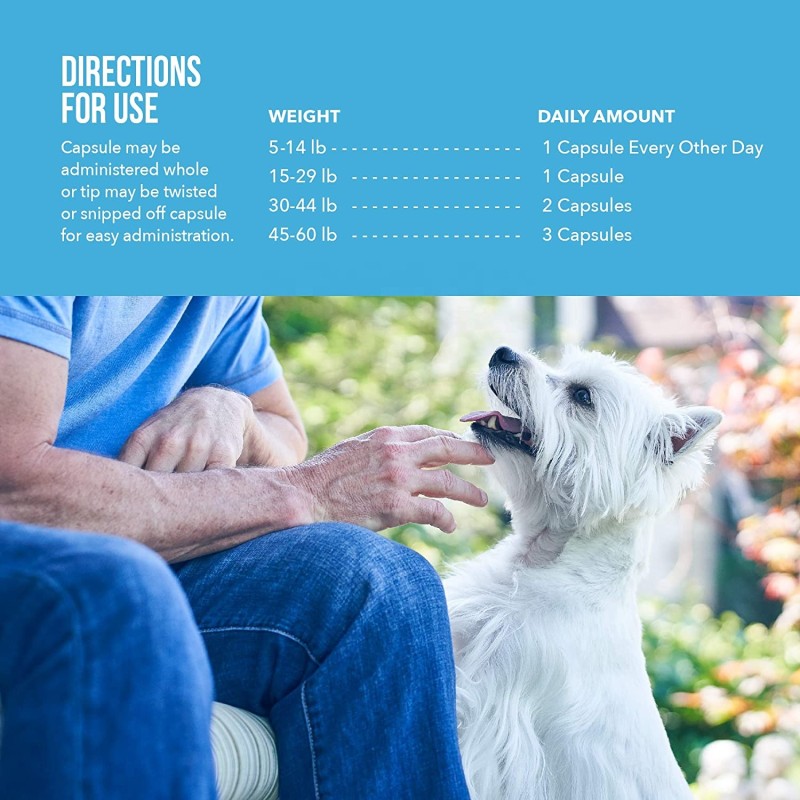 Pet Omega 3 Supplement Factory - Private Label Support Free Form Snip Tips for Dogs Cats Liquid