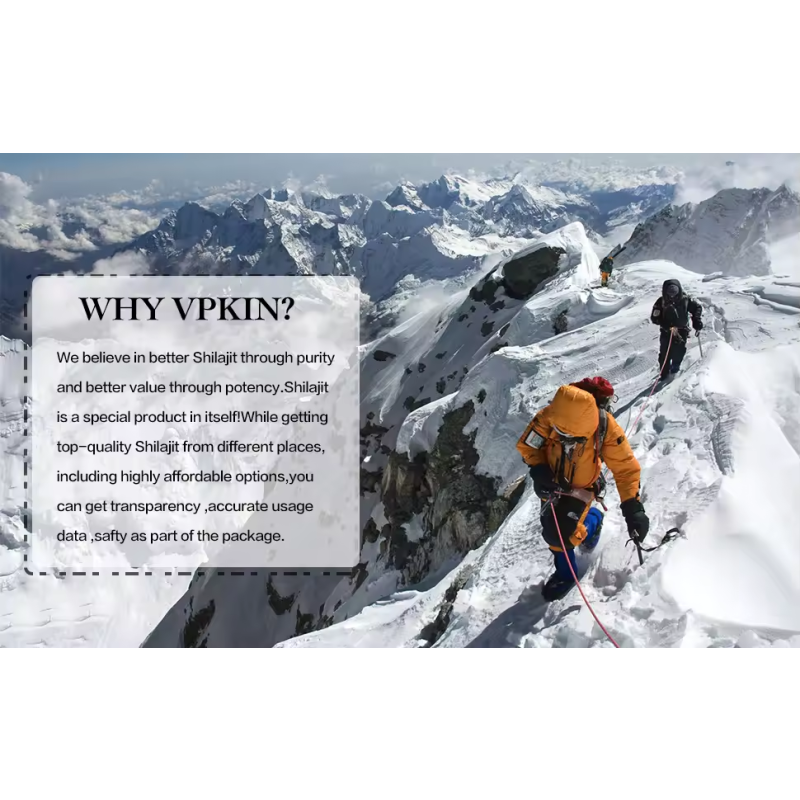 Shilajit Capsules Manufacturer - Rich in Humic Acid 85 Minerals Enhance Male Strength Himalayan