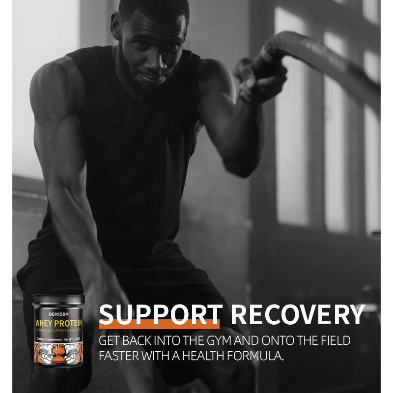 Whey Protein Powder - Low MOQ OEM ODM Mass Gainer Multivitamin Complex