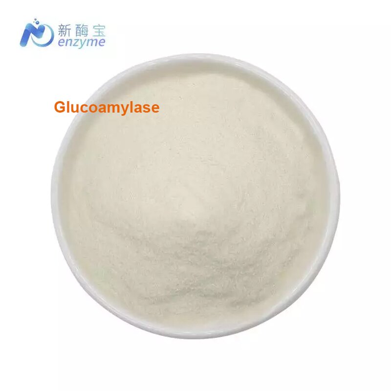 Glucoamylase Powder Manufacturer - Bulk Stock Price Enzyme