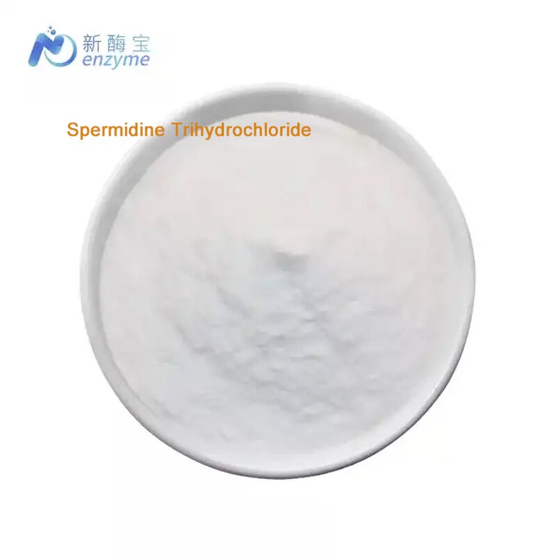 Spermidine Trihydrochloride Powder Manufacturer - Supply High Purity CAS 334-50-9 99%