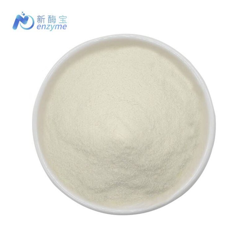 Glucoamylase Powder Manufacturer - Bulk Stock Price Enzyme