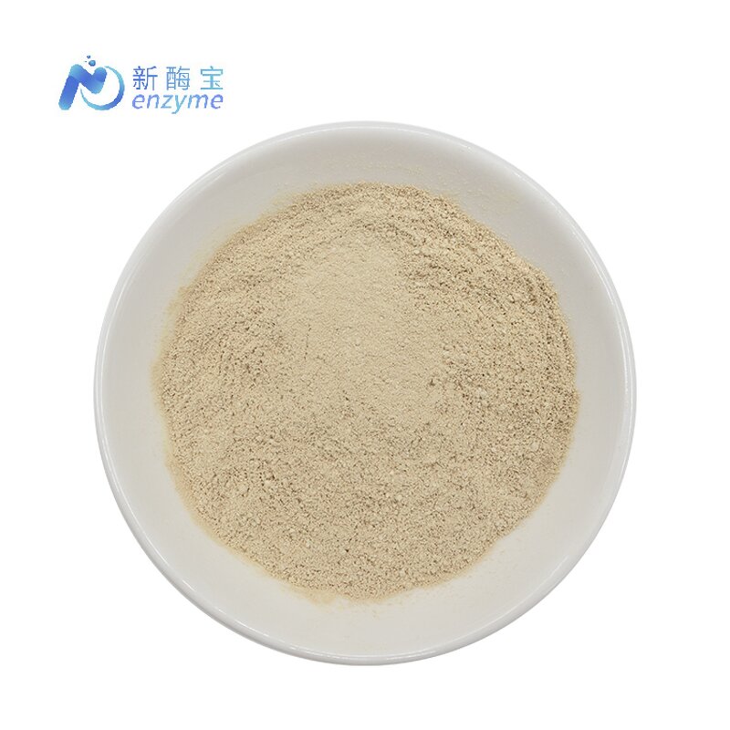 Urolithin A Powder Manufacturer - Wholesale Fast Delivery CAS 1143-70-0 High Purity 98%