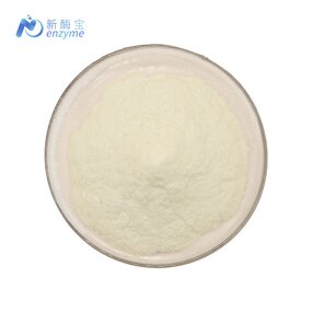 Pullulanase Enzyme Powder Manufacturer - Wholesale Bulk Price CAS 9075-68-7 Food Grade