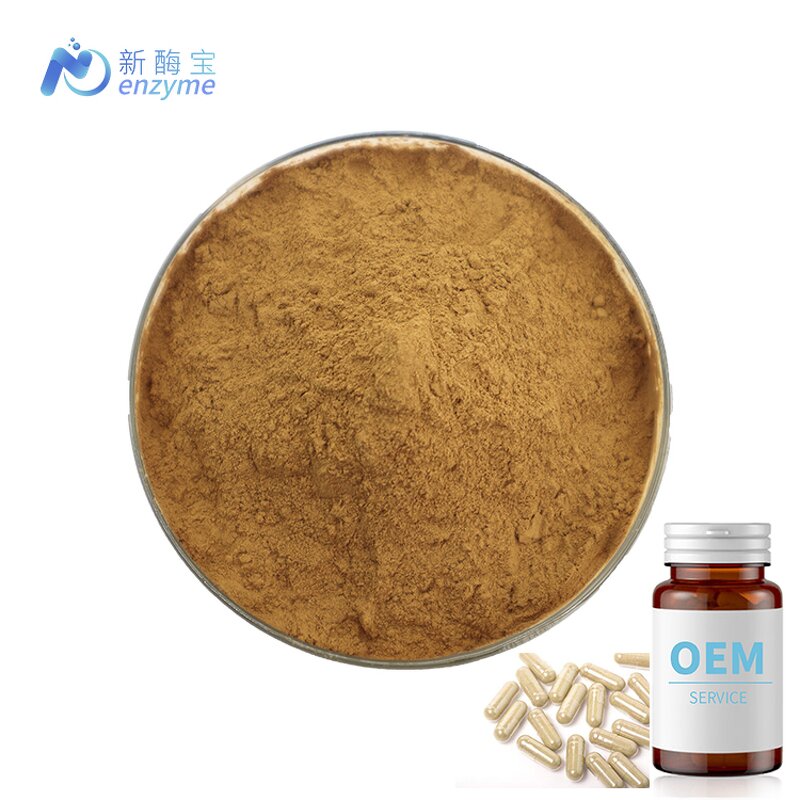 Turkesterone Powder Manufacturer - Wholesale Bulk Best Price 2% Ajuga Turkestanica Extract
