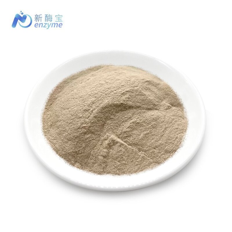 Alkaline Protease Manufacturer - Wholesale Bulk Price Enzyme for Detergents