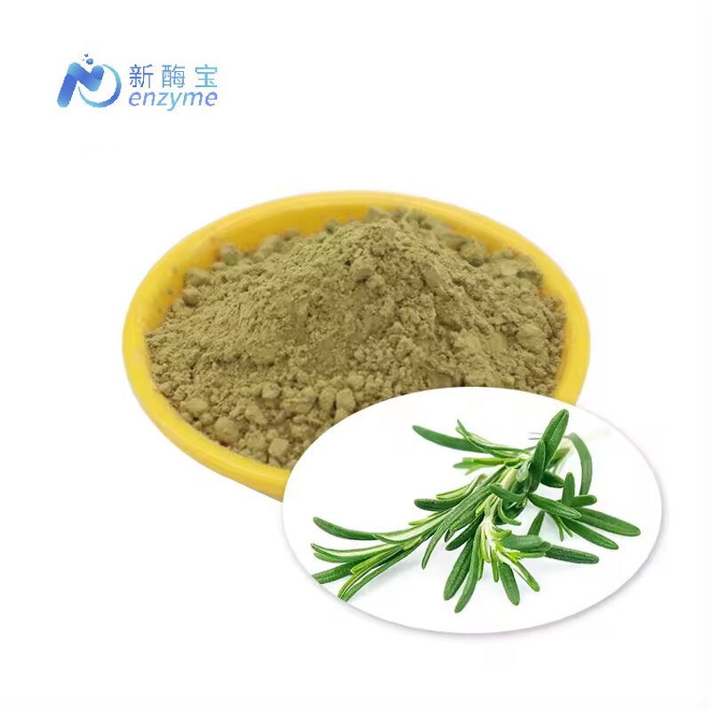 Rosemary Extract Manufacturer - Supply Hot Sale Preservative Rosmarinic Acid