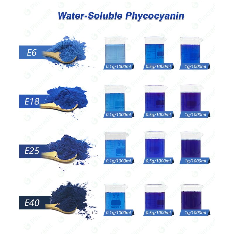 Blue Spirulina Powder Manufacturer - Free Sample OEM Organic Phycocyanin E6 E18 E25 E40