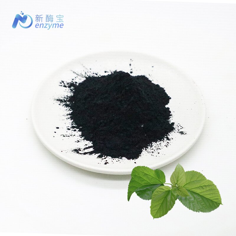 Sodium Copper Chlorophyllin Powder Manufacturer - Wholesale Best Price Water Soluble Mulberry 99%