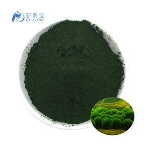 Chlorella Powder Manufacturer - Supply Bulk Organic Natural Broken Cell