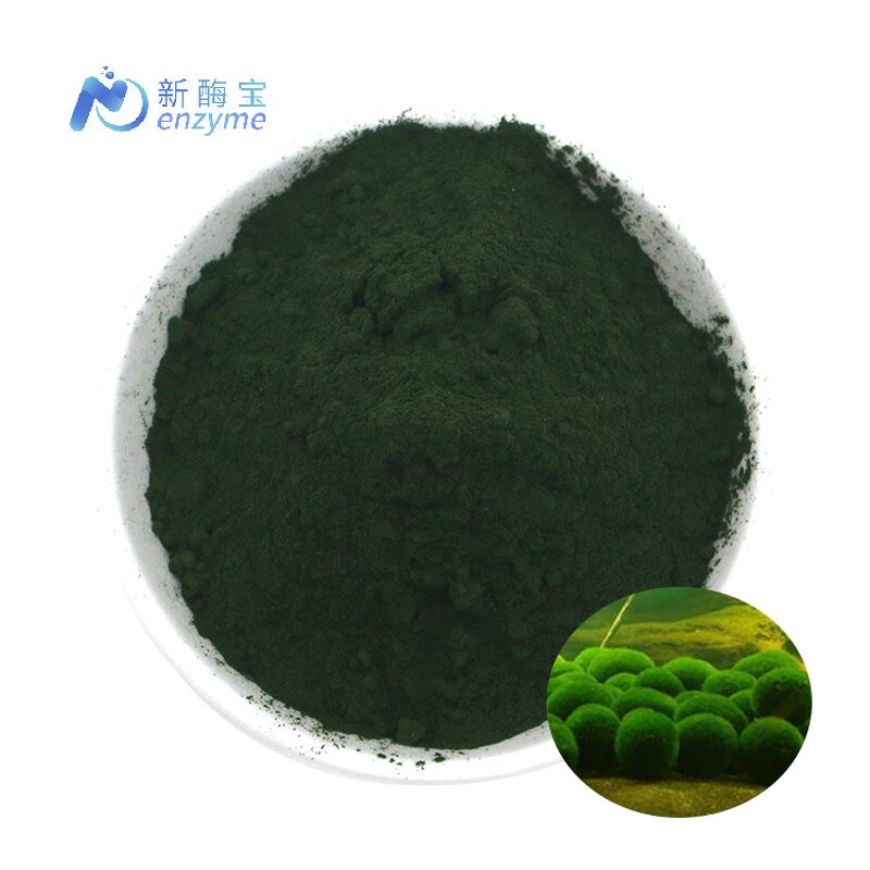 Chlorella Powder Manufacturer - Supply Bulk Organic Natural Broken Cell
