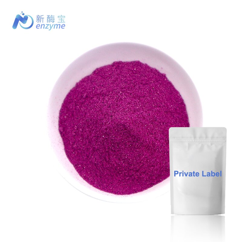 Dragon Fruit Powder Manufacturer - Freeze Dried Red Powder