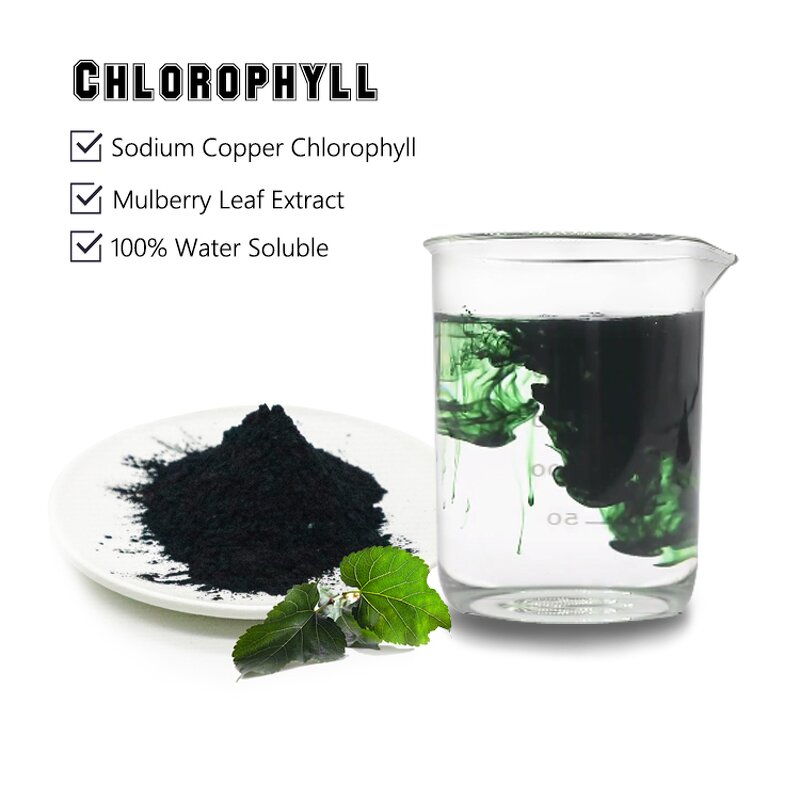 Sodium Copper Chlorophyllin Powder Manufacturer - Wholesale Best Price Water Soluble Mulberry 99%