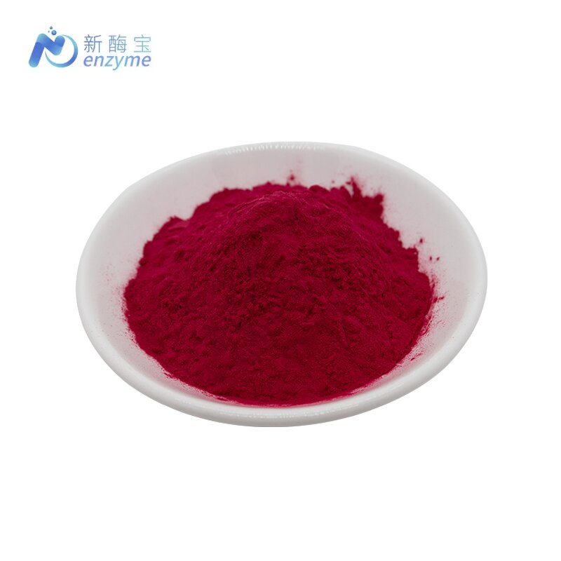 Beetroot Juice Powder Manufacturer - Wholesale Bulk Water Soluble Organic