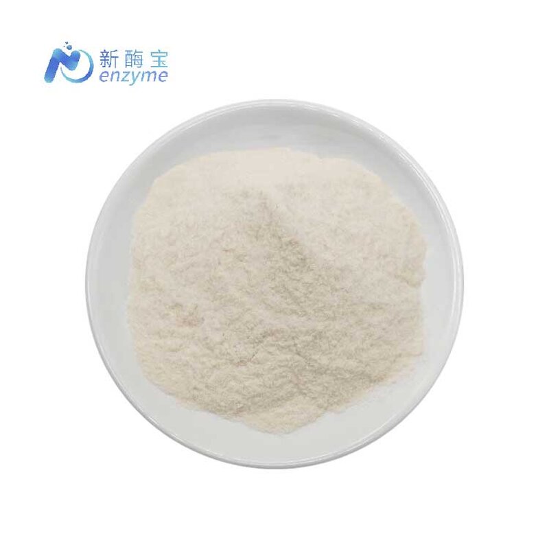 Fucoidan Powder Manufacturer - Wholesale 100% Pure Natural Fucus Vesiculosus Extract 98%