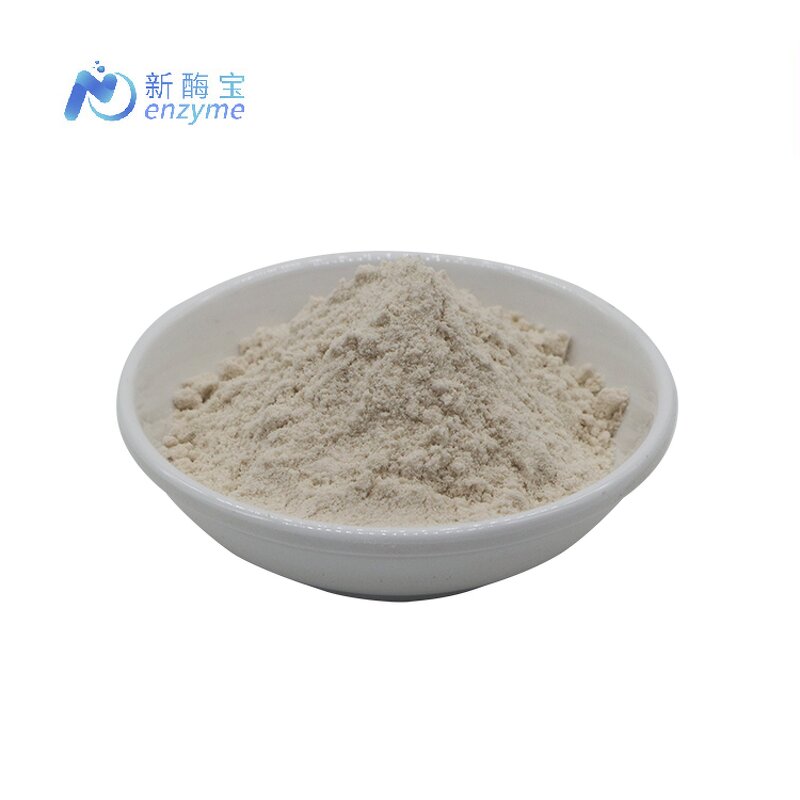 Avocado Powder Manufacturer - Supply Bulk 100% Pure Avocado Fruit Juice