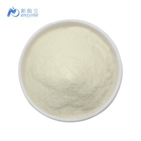 Xylanase Enzyme Powder Manufacturer - Wholesale Price Bulk Food Grade Food Enzymes