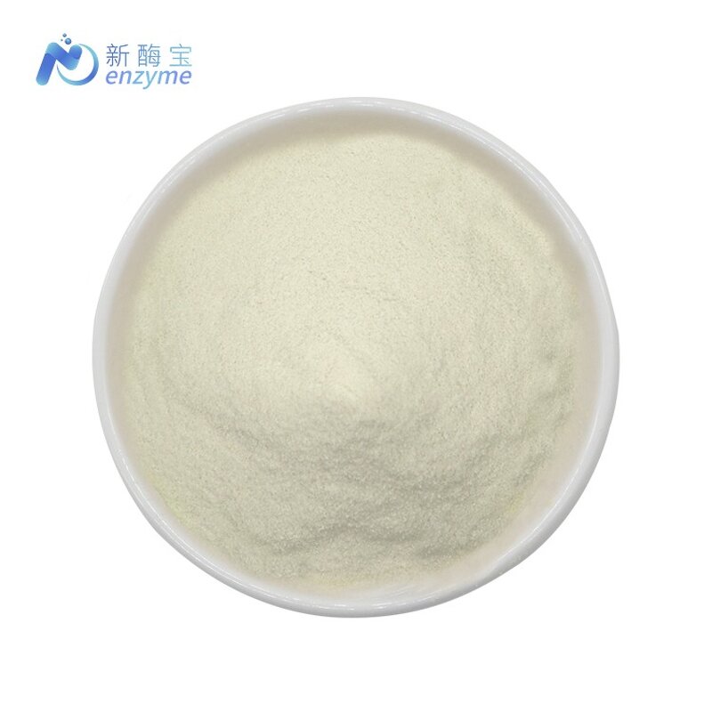 Xylanase Enzyme Powder Manufacturer - Wholesale Price Bulk Food Grade Food Enzymes