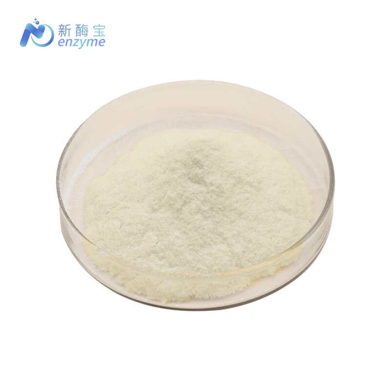 Catalase Enzyme Powder Manufacturer - Wholesale Factory Price Bulk