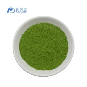Matcha Powder Manufacturer - Supply Private Label Ceremonial Grade Organic Green Tea
