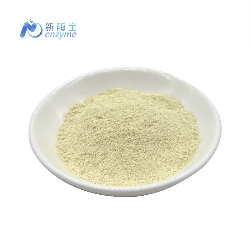 Sophora Japonica Extract Manufacturer - Supply Bulk Pure Natural 98% Luteolin