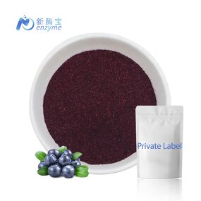 Blueberry Powder Manufacturer - Supply Bulk Private Label 100% Natural Organic Freeze Dried