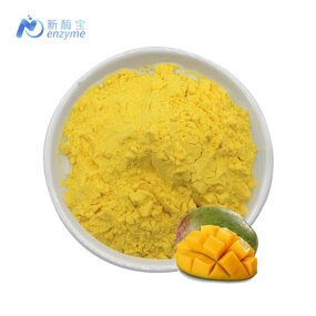 Mango Juice Powder Manufacturer - Wholesale Bulk OEM Package Organic Instant
