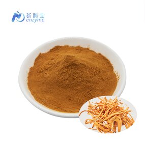 Cordyceps Militaris Extract Manufacturer - Wholesale Organic Mushroom Powder