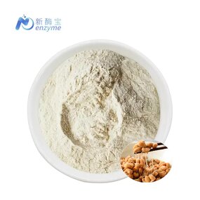 Nattokinase Powder Manufacturer - Supply High Quality GMO Free 20000 FU/G Natto Extract