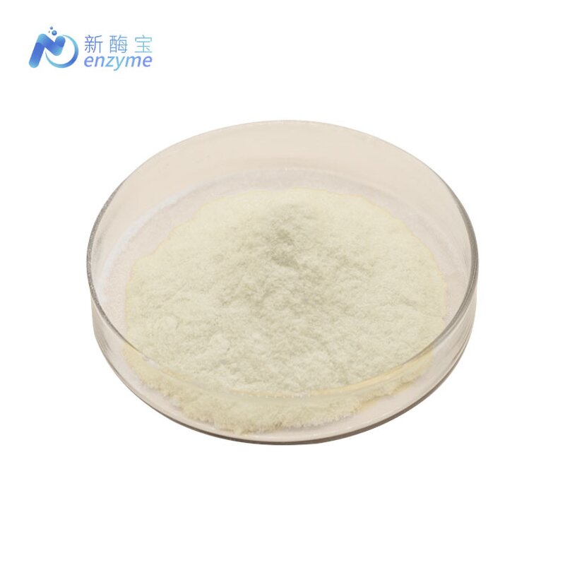 Pullulanase Enzyme Powder Manufacturer - Wholesale Bulk Price CAS 9075-68-7 Food Grade
