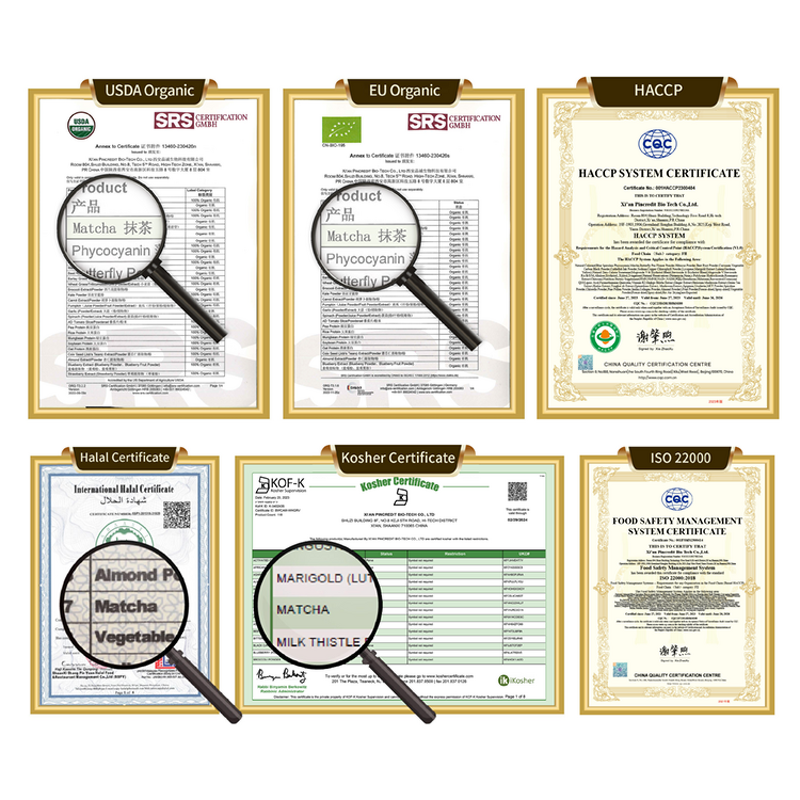 Matcha Powder Manufacturer - Wholesale OEM Private Label Ceremonial Organic Green