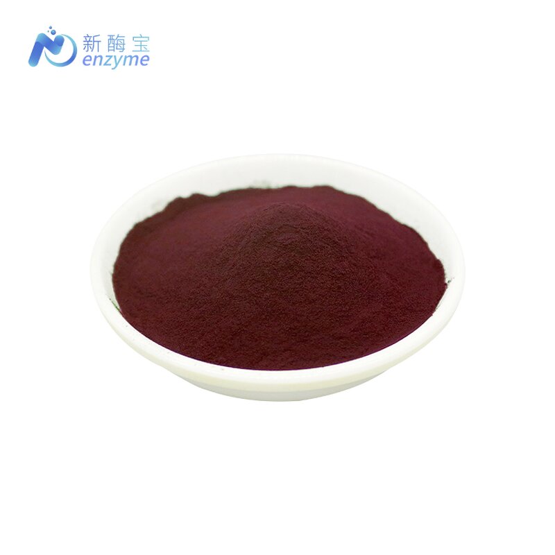 Cabbage Powder Manufacturer - Wholesale Food Grade Cabbage Extract Red Pigment Purple