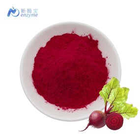 Beet Root Extract Manufacturer - Organic Red Beetroot Juice Powder