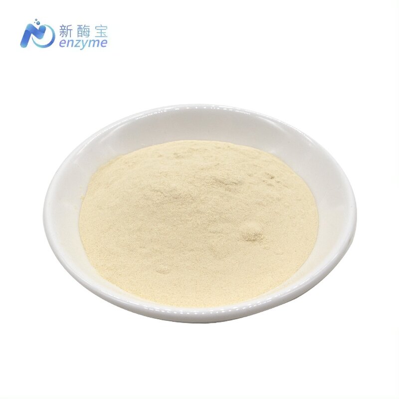 Bromelain Powder Manufacturer - Supply Bulk Pineapple Enzyme 2400gdu