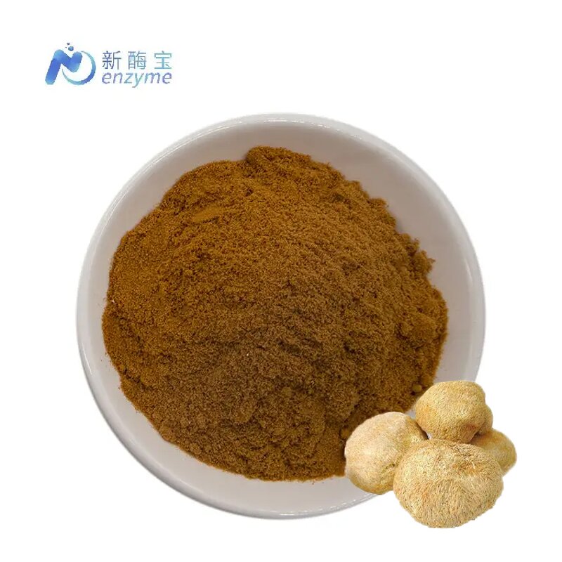Hericium Erinaceus Extract Manufacturer - Wholesale Bulk Organic Mushroom Powder