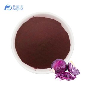 Cabbage Powder Manufacturer - Wholesale Food Grade Cabbage Extract Red Pigment Purple