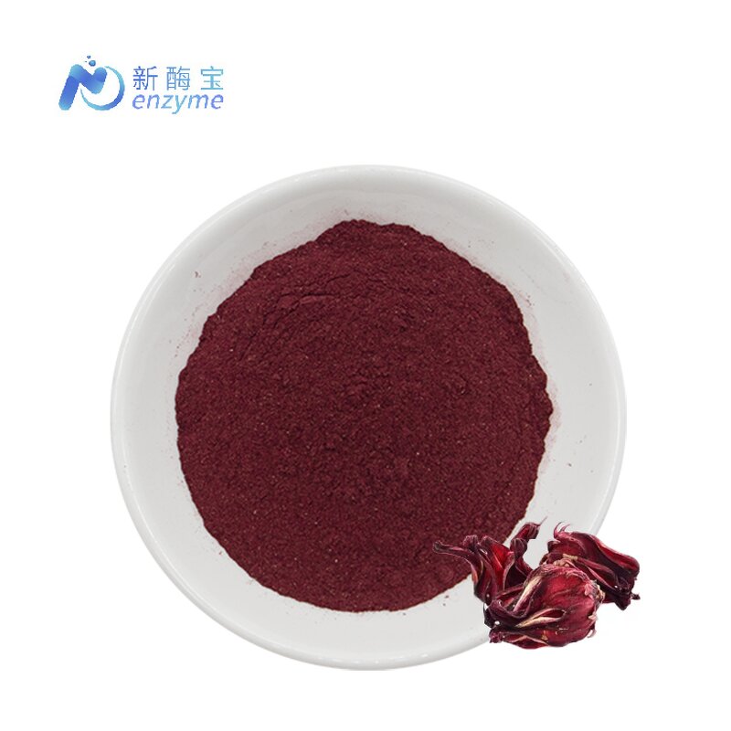 Hibiscus Flower Extract Manufacturer - Bulk 100% Organic Polyphenols Powder