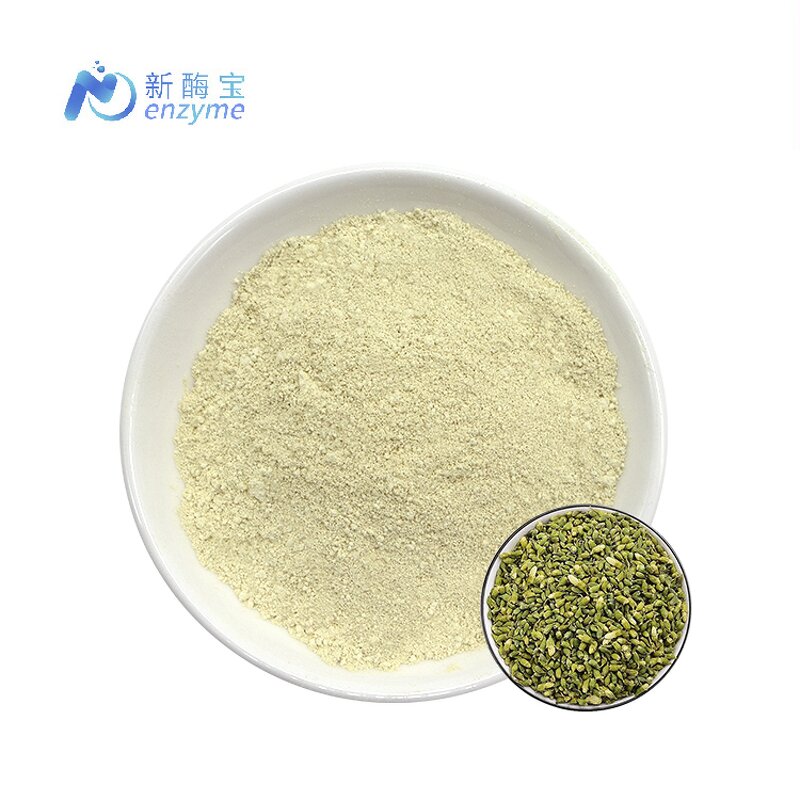 Sophora Japonica Extract Manufacturer - Supply Bulk Pure Natural 98% Luteolin