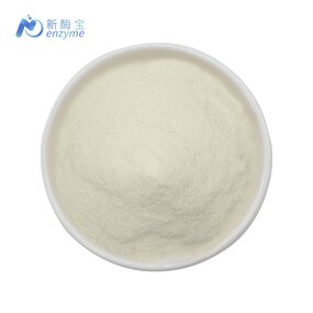 Nuclease Enzyme Powder Manufacturer - Supply Bulk Food Additives Raw Material