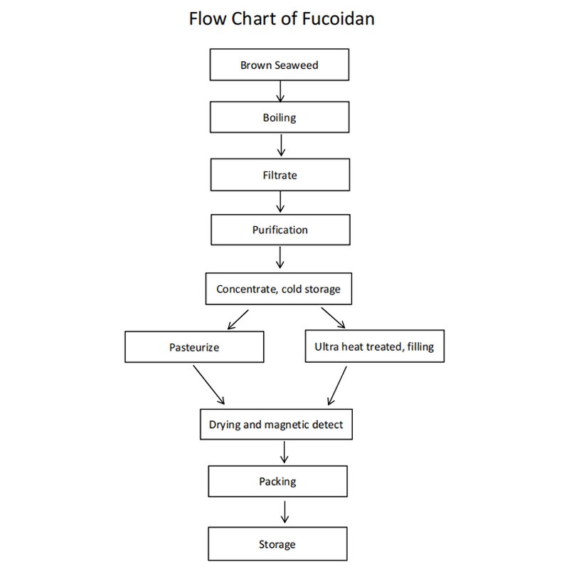 Fucoidan Powder Manufacturer - Wholesale 100% Pure Natural Fucus Vesiculosus Extract 98%