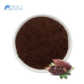 Cocoa Powder Manufacturer - Alkalized Supplier Wholesale Price Bulk 25kg
